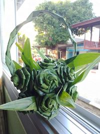 Close-up of vegetables on window