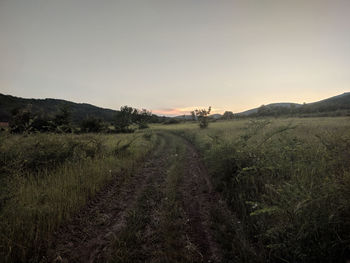 Scenic view of field against clear sky during sunset