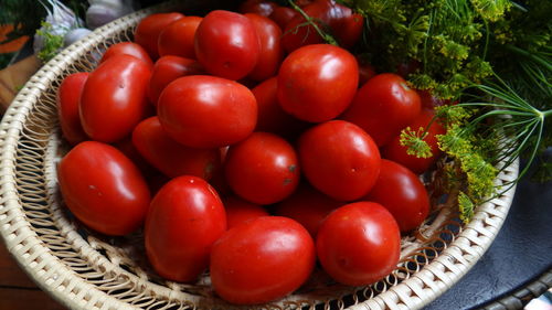 High angle view of tomatoes in bowl by herbs on table