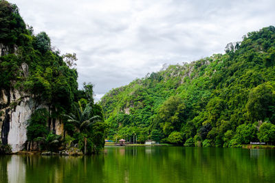 Scenic view of lake by trees against sky