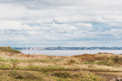 Scenic view of sea against sky