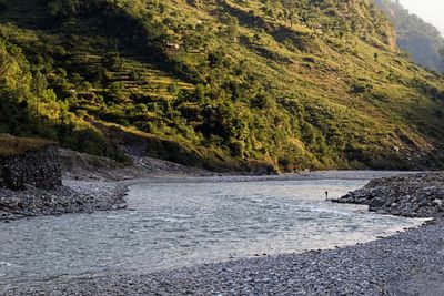 Scenic view of beach