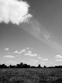 Scenic view of field against sky