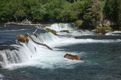 Scenic view of waterfall