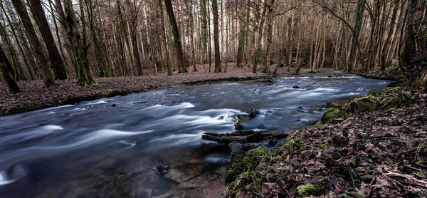 Autumn in the forest, long exposure