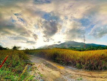 Scenic view of field against sky