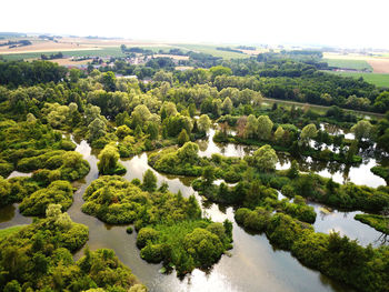 Scenic view of river amidst trees against sky