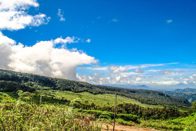 Scenic view of landscape against cloudy sky