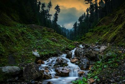 Scenic view of waterfall in forest