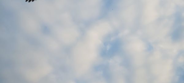 Low angle view of clouds in sky