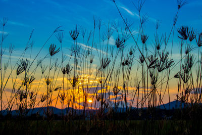 Scenic view of landscape against sky at sunset