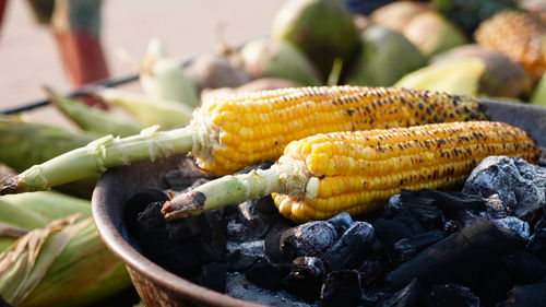 Close-up of bananas on plant