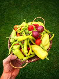 Low section of person holding vegetables