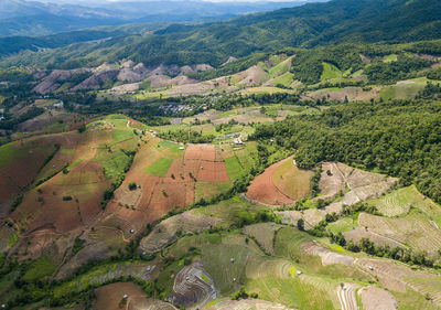 High angle view of agricultural field