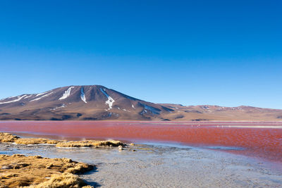 Scenic view of landscape against clear blue sky