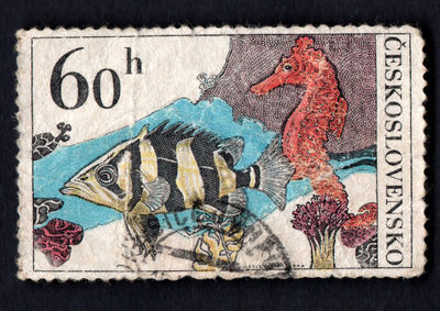 postage stamp