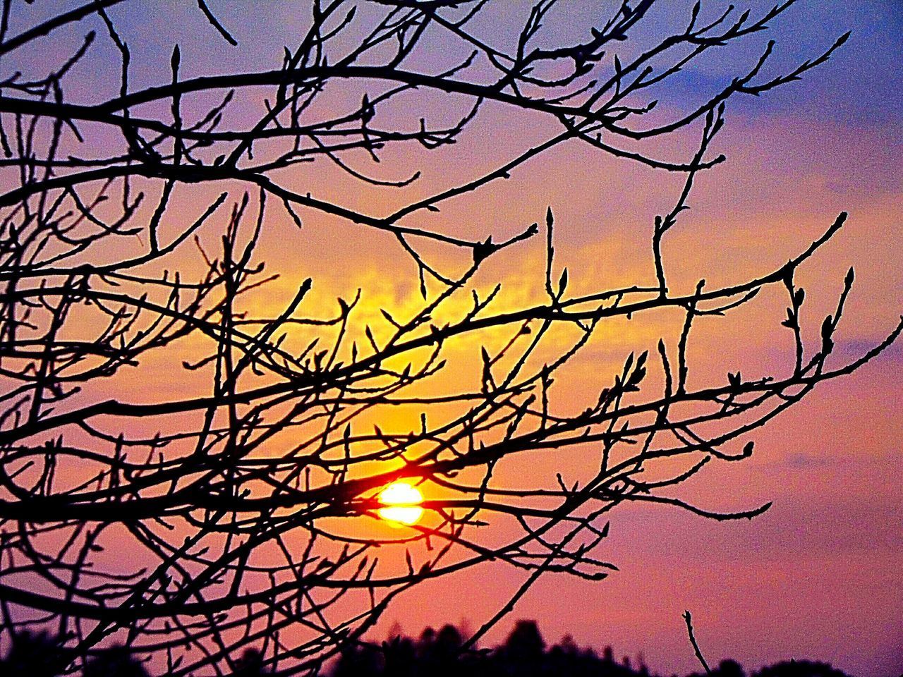 SILHOUETTE BARE TREE AGAINST DRAMATIC SKY DURING SUNSET