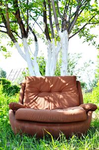 Sofa on grass against trees