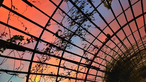 Low angle view of silhouette trees against sky during sunset