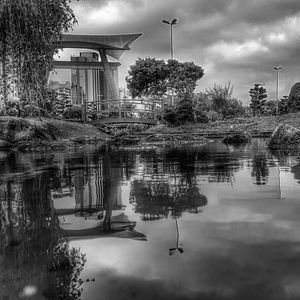 Reflection of trees in water