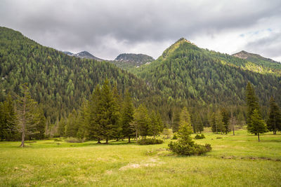 Natural landscape with green mountain peaks in summer