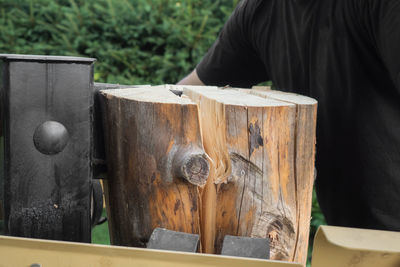 Close-up of horse on wood