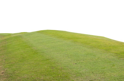 Green grass on hill against clear sky