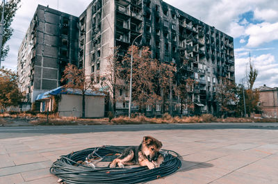 Low angle view of man sitting on street against sky