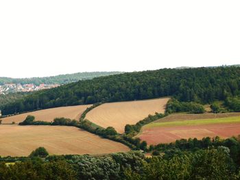 Scenic view of agricultural field against clear sky