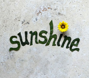 Close-up of text on stone table made with plants and flowers 