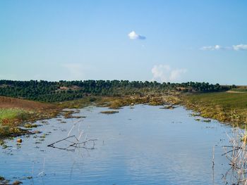 Scenic view of lake against sky