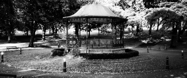 Trees in park