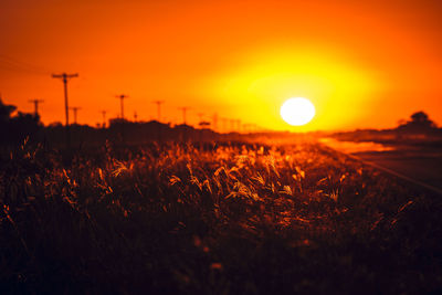 Scenic view of field against orange sky