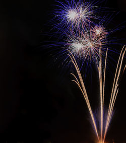 Low angle view of firework display at night