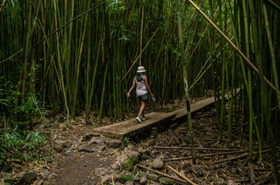 Woman walking by bamboo groove in forest