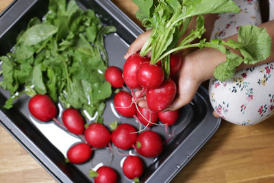 High angle view of radish in tray on hand