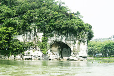 Arch bridge over river against trees