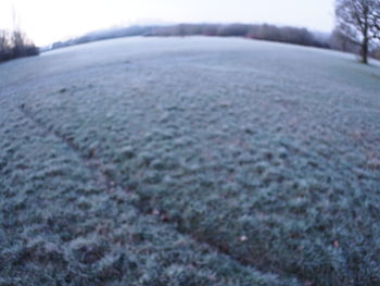 Surface level of snow covered land