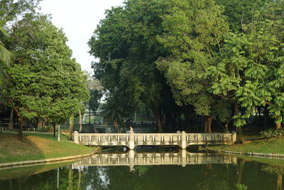 Bridge over lake against trees