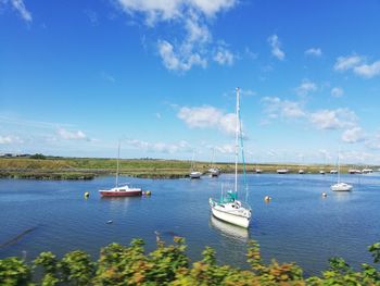 Sailboats in sea