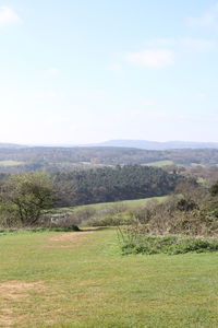 Scenic view of field against sky