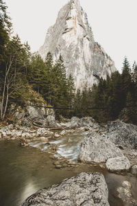 Scenic view of river in forest against sky