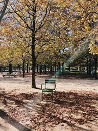 Trees in park during autumn