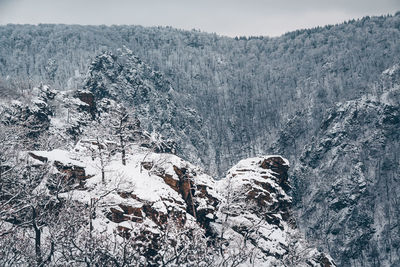 High angle view of snow covered land