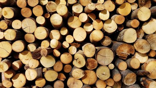 Full frame shot of logs. wood, firewood, texture.