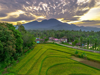 landscape