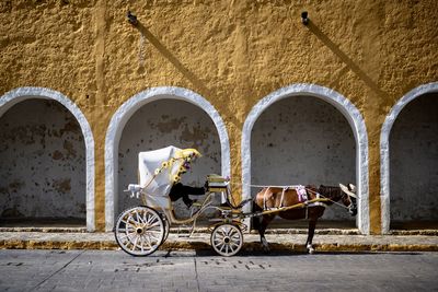 Horse drawn carriage in mexicot