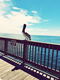 Bird perching on railing by sea against sky