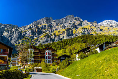 Houses and trees against clear blue sky