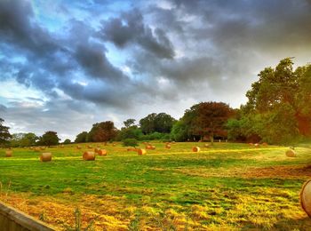 Hay bales on field against sky